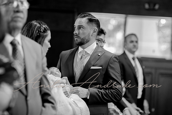 IMG_9341